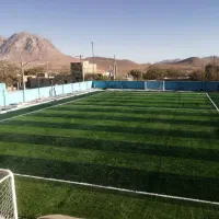 تعدادی  فروشنده خانم  بالای ۲۵