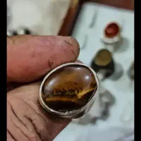 انگشتر چشم ببر