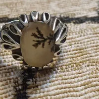 نقره جات|کلکسیون اشیاء عتیقه|بروجرد, |دیوار