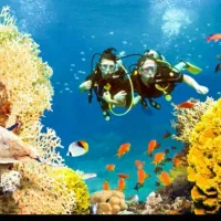 تجربهای بینظیر در نگین خلیج فارس* تور کیش و قشم