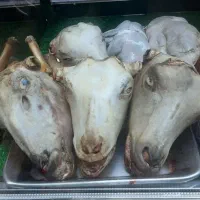 فروش ویژه گوشت تازه محلی|خوردنی و آشامیدنی|رشت, دیلمان|دیوار