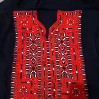 زی آستین