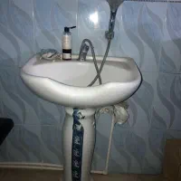 سرشور رنگ با دوش