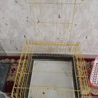 قفس پرنده ، قفس جونده|لوازم جانبی حیوانات|اندیشه, اندیشه فاز ۱|دیوار