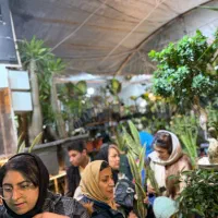 استخدام فوری در گلخانه همیشه سبز مشهد|استخدام خدمات فروشگاه و رستوران|مشهد, گلشور|دیوار