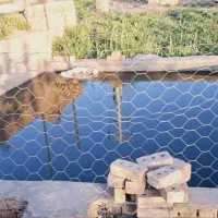 باغ-بهداشتیاران