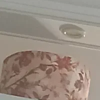 آباژور ایستاده