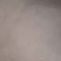موکت در حد نو
