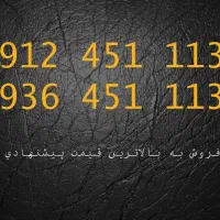 دو سیم کارت با شماره های یکسان