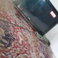 تلوزیون tcLکارکرده سالم|تلویزیون و پروژکتور|لاهیجان, کوی زمانی|دیوار