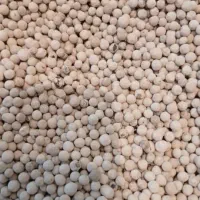 تولیدو پخش ادویه و چاشنی جات|عمدهفروشی|تربتحیدریه, کاشانی|دیوار