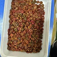 فروش ملزومات حیوانات خانگی پت شاپ عمده و تک