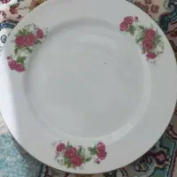 شش عدد پیش دستی گل سرخی