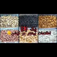 پک یلدایی و پاییزی