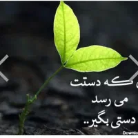 گرفتن روزه