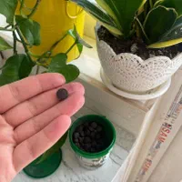 قرص کود ارگانیک|گل و گیاه طبیعی|لنجان, |دیوار