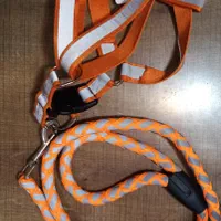 قلاده سگ|لوازم جانبی حیوانات|ارومیه, |دیوار