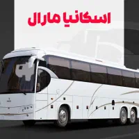 راننده پایه یک اتوبوس