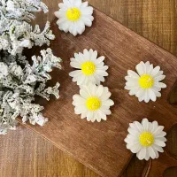 ۱۰۰ عدد بابونه سفید وسط زرد آماده تحویل