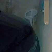 ماشین آریا|خودرو کلاسیک|تربت جام, عیدی آباد|دیوار