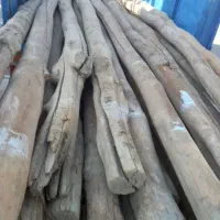 خرید چوب|خدمات باغبانی و درختکاری|فرمهین, |دیوار