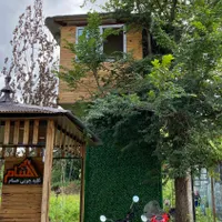 کلبه درختی