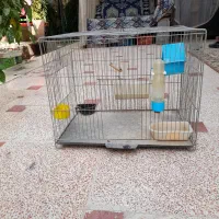 قفس پرنده