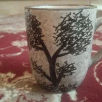 ماگ چینی و سفالی|ظروف سرو و پذیرایی|اصفهان, خواجو|دیوار