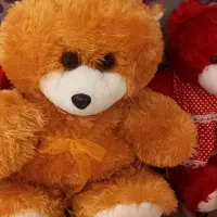 تعداد  ۱۲ عدد عروسک های قشنگ وبادوام|اسباب‌بازی بچه|شیراز, معالی‌آباد|دیوار