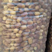 قصب کیلو ۹۰|خوردنی و آشامیدنی|جهرم, |دیوار