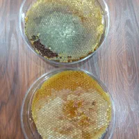 عسل طبیعی باضمانت|خوردنی و آشامیدنی|بانه, |دیوار