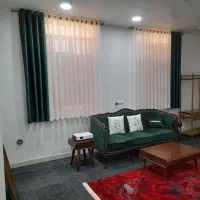 شستشو دوخت نصب  پلیسه پانچ زبرا مینی مال پشت دری