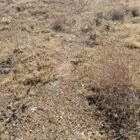 زمین-2هکتاری