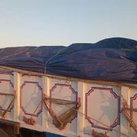 کودحیوانی|خدمات باغبانی و درختکاری|کوهدشت, |دیوار