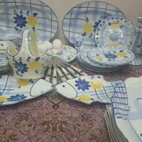 ظروف گل پنبه  سالم  خا  ستا    رم