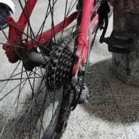 دوچرخه عروسک|دوچرخه، اسکیت، اسکوتر|بروجرد, |دیوار