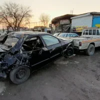 سمند تصادفی مدل ۹۵