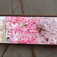 شیامی نوت 14 s