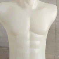 رخت آویز گردون ،چوب لباس،نیم تنه مردانه (مانکن )