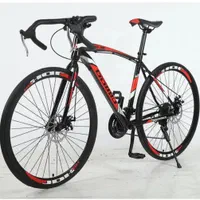 دوچرخه حرفه ای کورسی