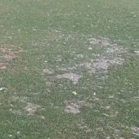 زمین مسکونی واقع درپشت فنی حرفه ای ملکشاهی.|فروش زمین و ملک کلنگی|ملکشاهی, |دیوار