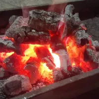 ذغال کبابی بادام یکدست