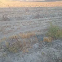 زمین|فروش زمین و ملک کلنگی|رضویه, |دیوار