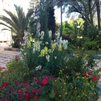 اجاره-آپارتمان-دو-خوابه-تاچارا-شخصی-ساز