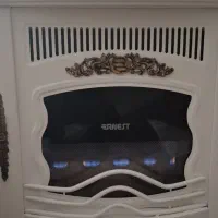 بخاری ۲۸ هزار ارنست