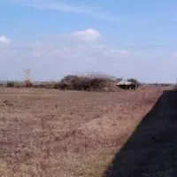 زمین عرب آباد 14 قصب