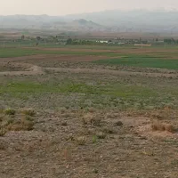 یونجه چین دوم|لوازم جانبی حیوانات|سراب, |دیوار