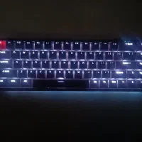 موس و کیبورد گیمینگ بیسیم|قطعات و لوازم جانبی رایانه|کاشمر, |دیوار