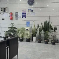 ۵۵متر/وام دار/تک خواب