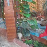 ظرفشور و کمک آشپز و تخته کار